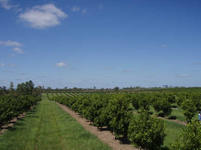 Lot 2 Booyan Road, Moore Park QLD 4670