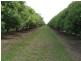 Lot 2 Booyan Road, Moore Park QLD 4670