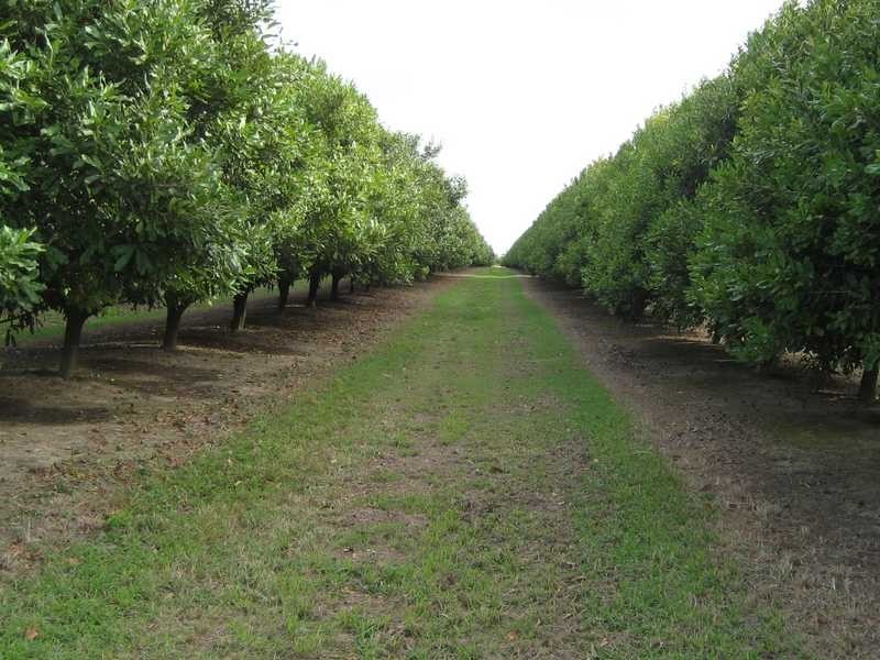 Lot 2 Booyan Road, Moore Park QLD 4670