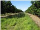 Lot 2 Booyan Road, Moore Park QLD 4670