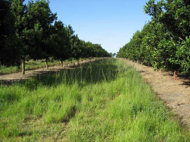 Lot 2 Booyan Road, Moore Park QLD 4670