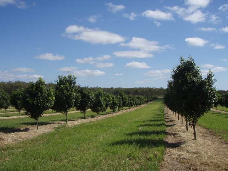 Lot 2 Booyan Road, Moore Park QLD 4670