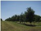 Lot 2 Booyan Road, Moore Park QLD 4670