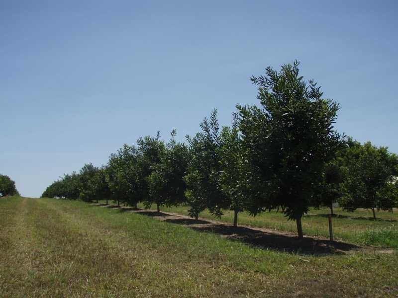 Lot 2 Booyan Road, Moore Park QLD 4670