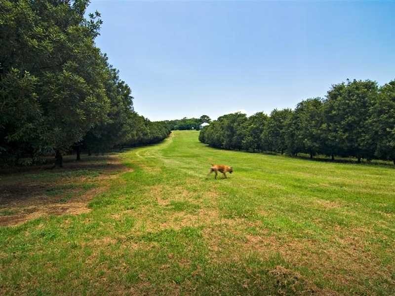 61 Jorgensens Lane, Brooklet NSW 2479