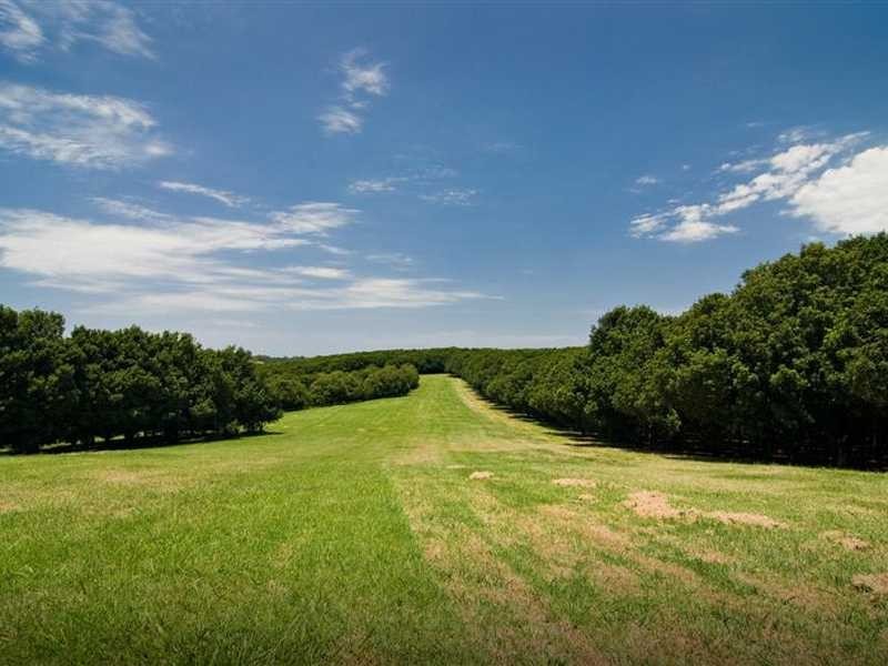 61 Jorgensens Lane, Brooklet NSW 2479