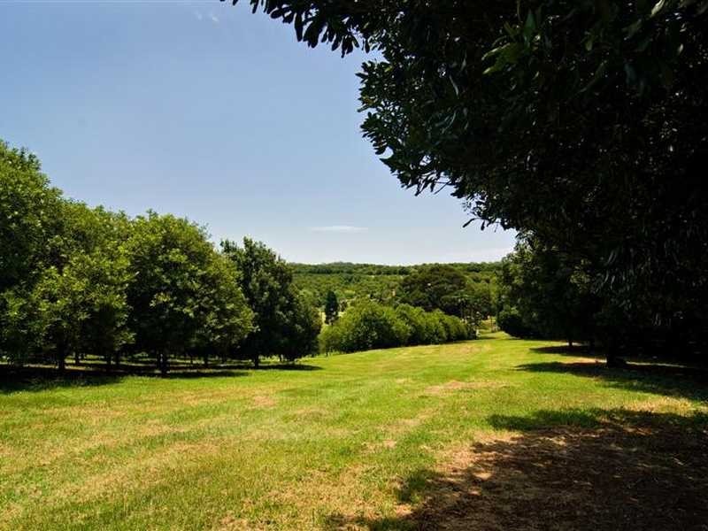 61 Jorgensens Lane, Brooklet NSW 2479