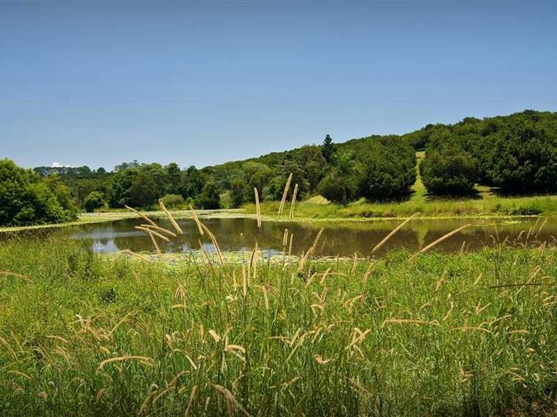 61 Jorgensens Lane, Brooklet NSW 2479