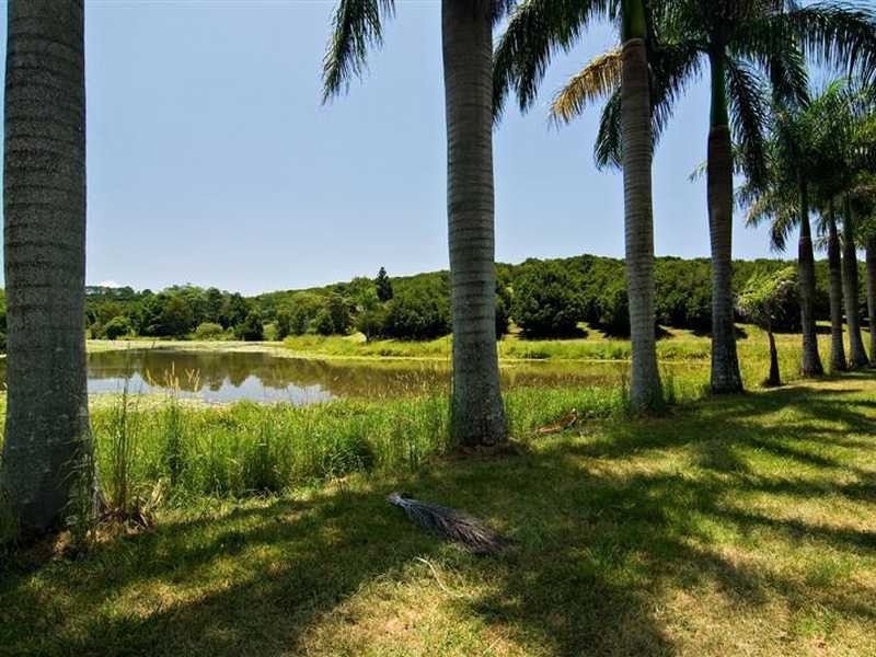 61 Jorgensens Lane, Brooklet NSW 2479