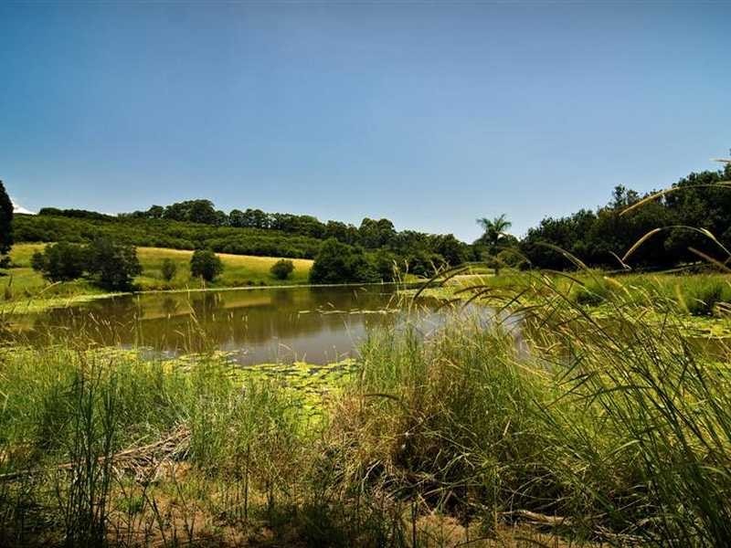 61 Jorgensens Lane, Brooklet NSW 2479