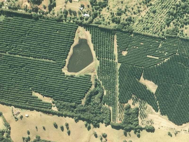1594 Dunoon Road, Dunoon NSW 2480