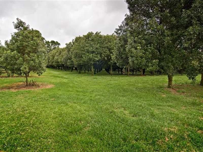 609 Dalwood Road, Rous Mill NSW 2477