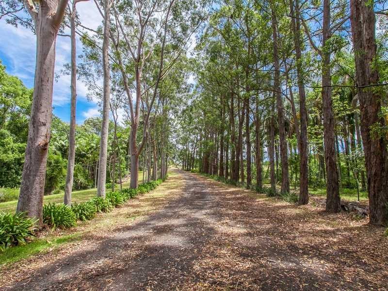 47 Emerson Road, Rosebank NSW 2480