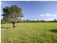 312 Riverbank Road, Monaltrie NSW 2480