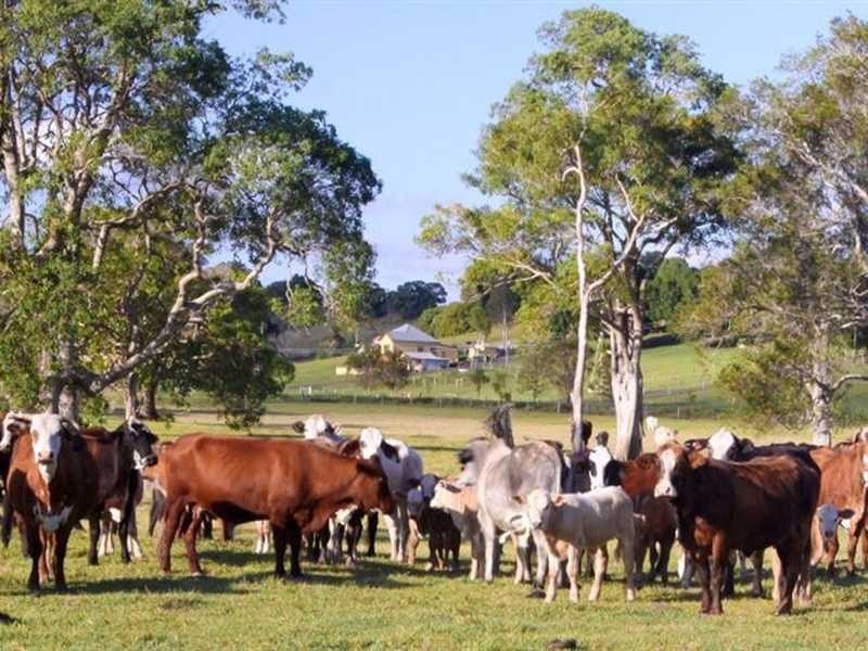 312 Riverbank Road, Monaltrie NSW 2480