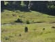 1822 Dunoon Road, Dunoon NSW 2480