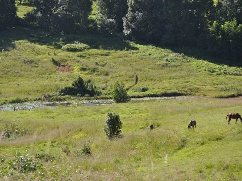1822 Dunoon Road, Dunoon NSW 2480