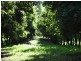 1822 Dunoon Road, Dunoon NSW 2480