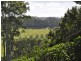 1822 Dunoon Road, Dunoon NSW 2480