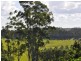 1822 Dunoon Road, Dunoon NSW 2480