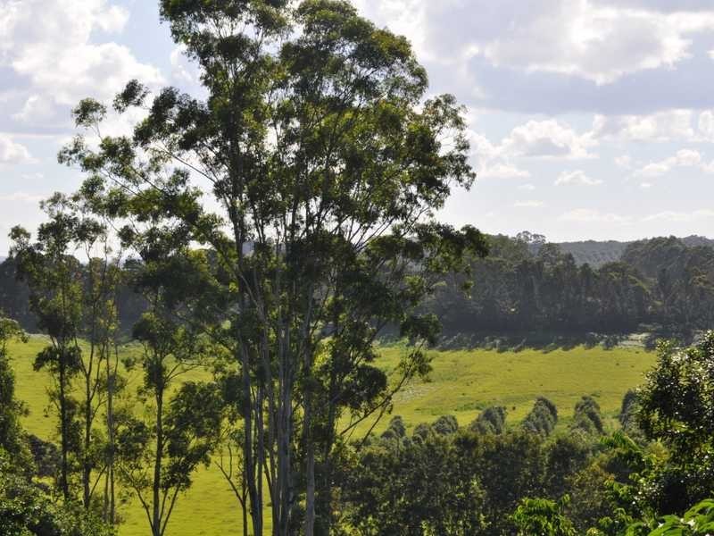 1822 Dunoon Road, Dunoon NSW 2480