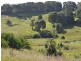 1822 Dunoon Road, Dunoon NSW 2480