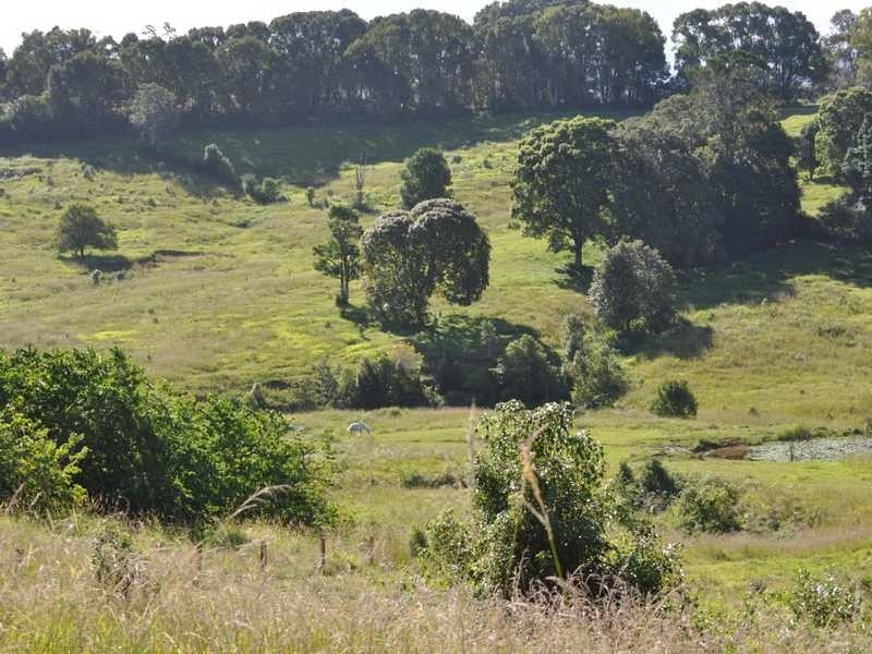 1822 Dunoon Road, Dunoon NSW 2480