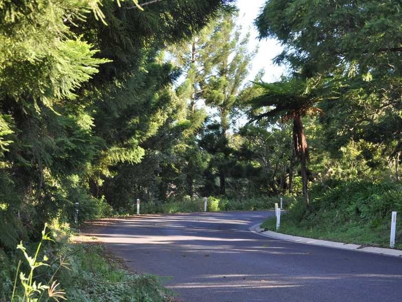 1822 Dunoon Road, Dunoon NSW 2480