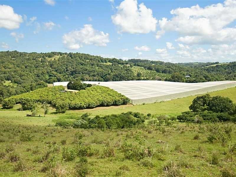 1396 Eltham Road, Teven NSW 2478