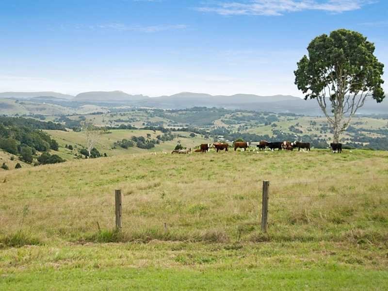 11 Roseview Road, Mcleans Ridges NSW 2480