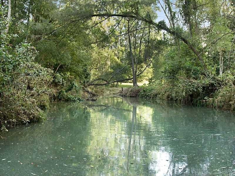 122 Alstonvale  Road, Alstonvale NSW 2477