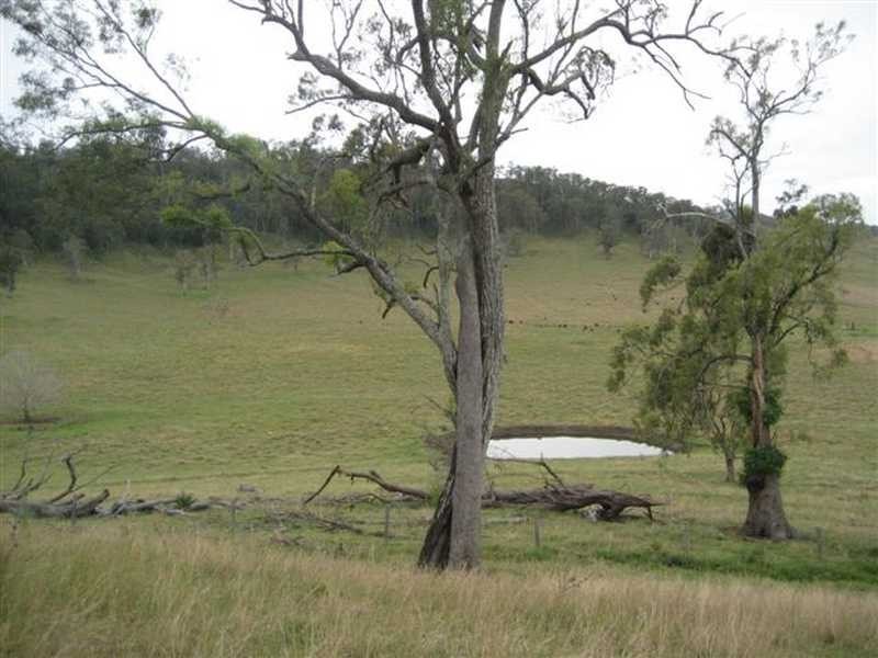 Pratts lane, Bentley NSW 2480