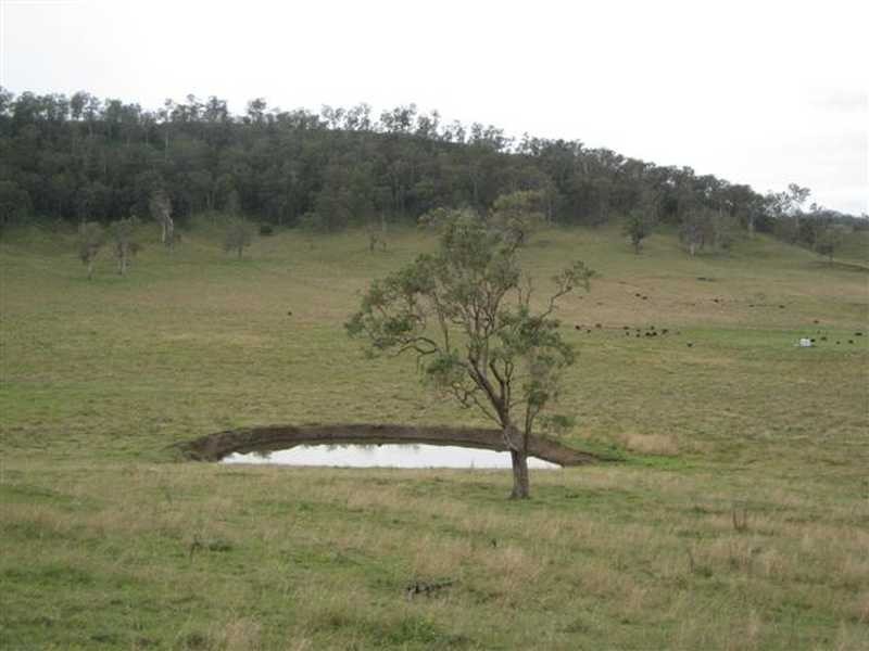 Pratts lane, Bentley NSW 2480