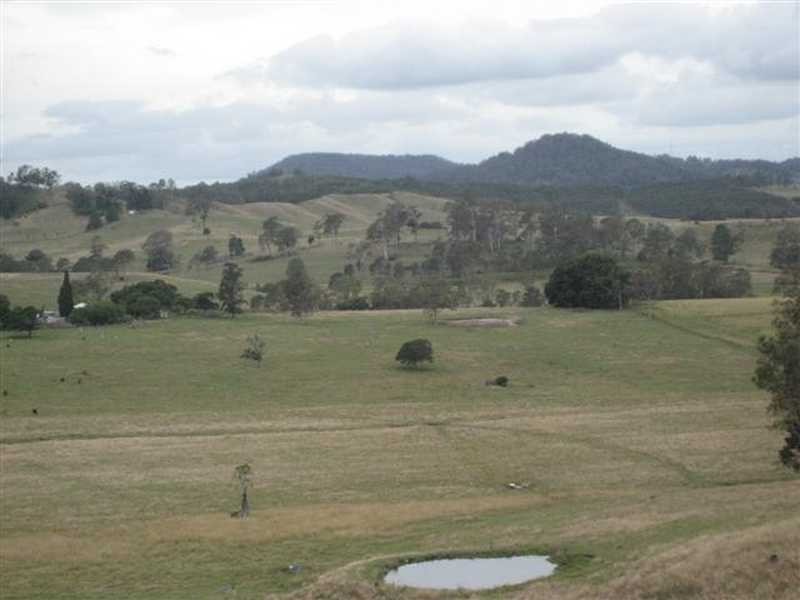 Pratts lane, Bentley NSW 2480