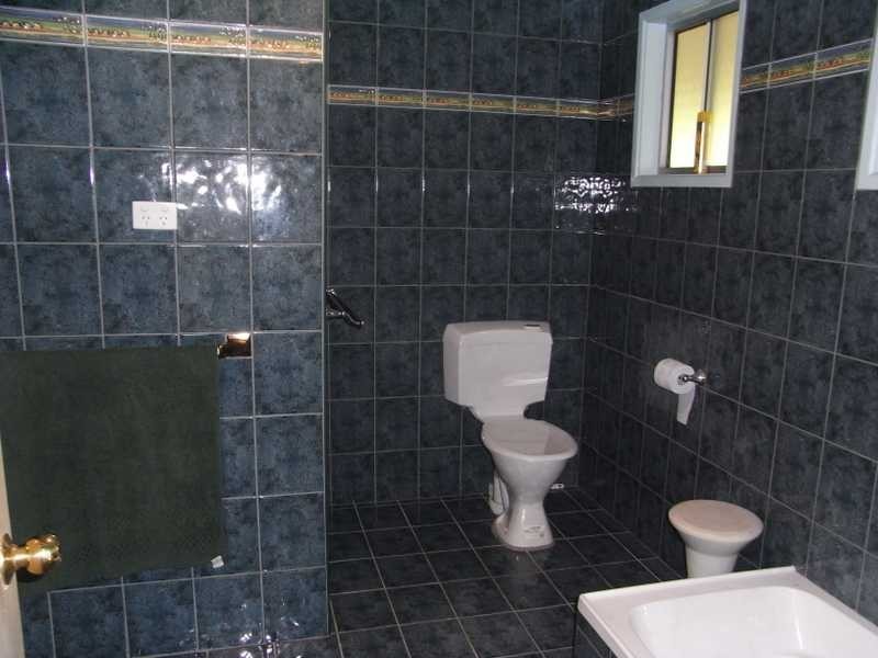 43 Basil Road, Nimbin NSW 2480