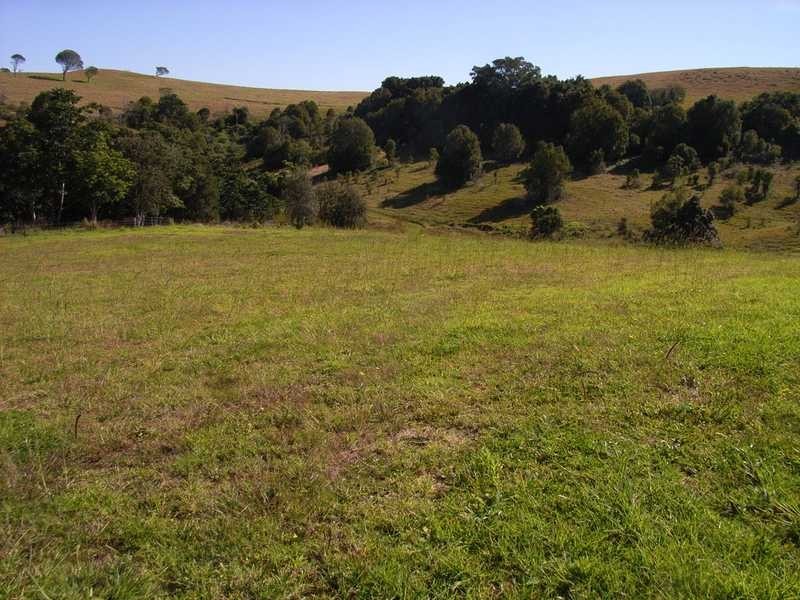 60 Federation Drive, Eltham NSW 2480
