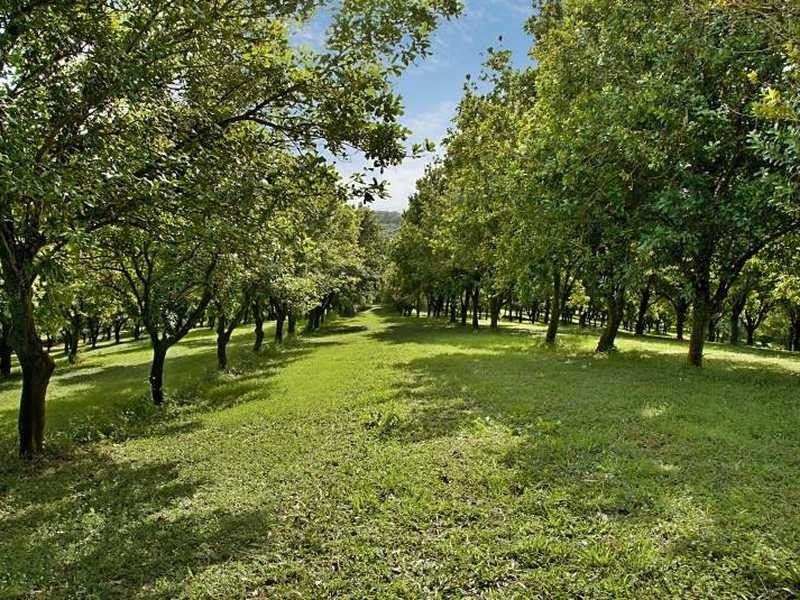 189 Sneaths Road, Wollongbar NSW 2477