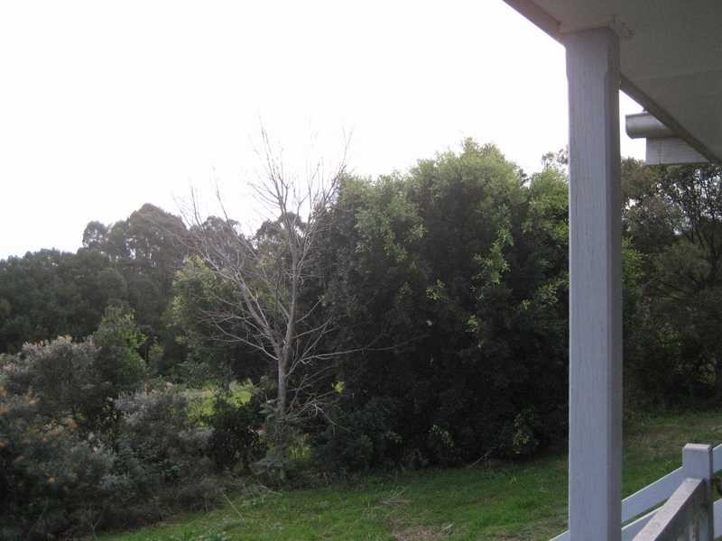 53 McKenzie Street, Eltham NSW 2480