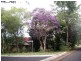 Green Frog Lane, Bangalow NSW 2479