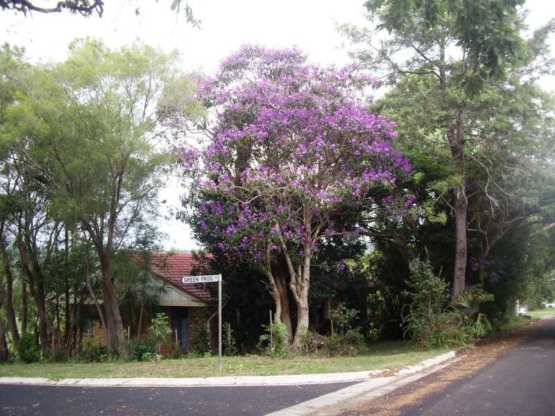 Green Frog Lane, Bangalow NSW 2479