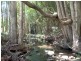 Lot 1 Pacific Highway, Bangalow NSW 2479