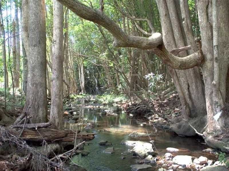 Lot 1 Pacific Highway, Bangalow NSW 2479