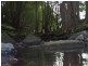 Lot 1 Pacific Highway, Bangalow NSW 2479