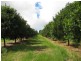 Lot 1 Pacific Highway, Bangalow NSW 2479