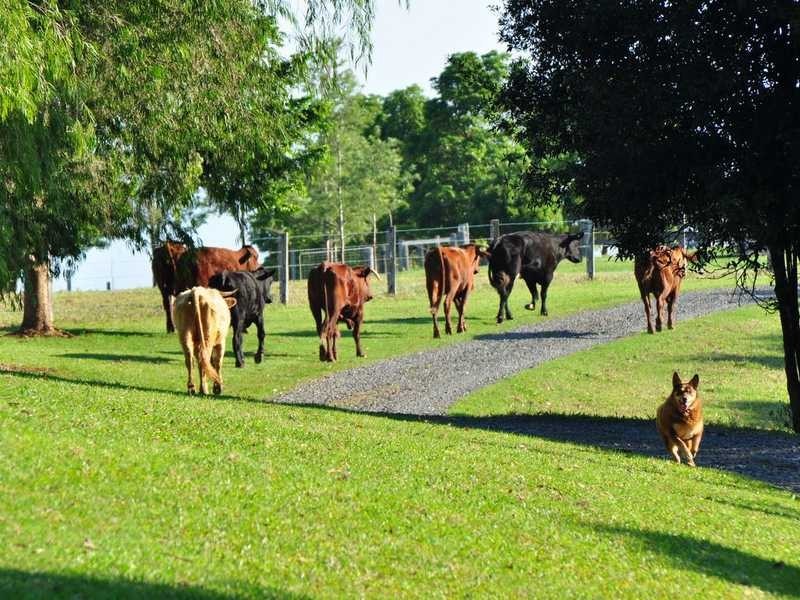 118 Beacon Road, Teven NSW 2478