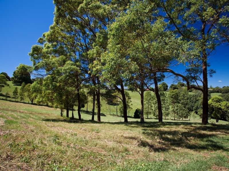 1481 Bangalow Road, Clunes NSW 2480