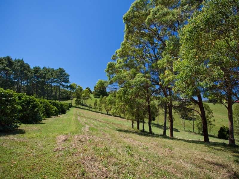 1481 Bangalow Road, Clunes NSW 2480