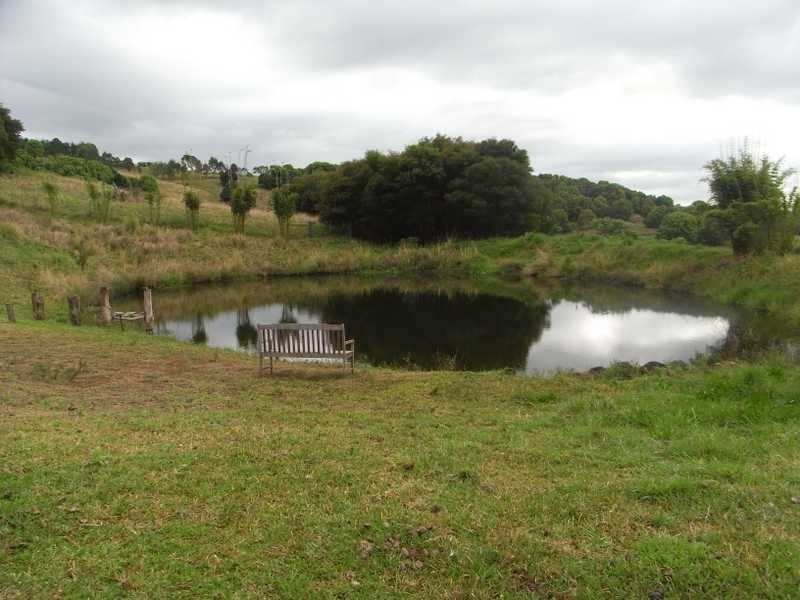 56 Johnston Rd, Clunes NSW 2480