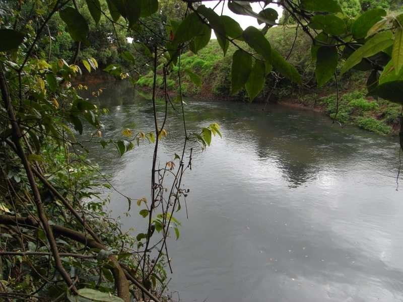 56 Johnston Rd, Clunes NSW 2480