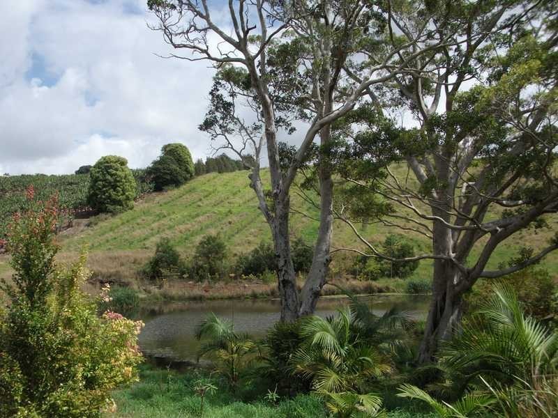 Lot 2 Pacific Highway, Bangalow NSW 2479
